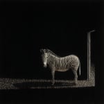Matt Duffin encaustic paintings buy Zebra