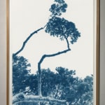 Gilman Contemporary, Dora Somosi, Fine art photography, Ketchum IDAHO