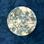 hand printed cyanotype with embroidery, Dora Somosi