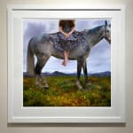 Tom Chambers photography buy here Sun Valley art gallery