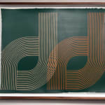 Installation view kelly ording linear sriations letter D's on green