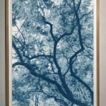 Modern Cyanotype, Dora Somosi, NY artist, Gilman Contemporary