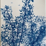 Cyanotype photograph by dora somosi from beneath tree blue and white