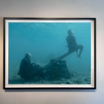 framed see saw underwater Nick Brandt photograph in figi