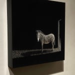 Matt Duffin encaustic art buy work Zebra standing in the light of a doorway