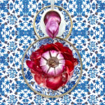 Buy JP Terlizzi photographs