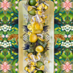 JP Terlizzi photography Creatures of Curiosity buy here