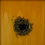 Mayme Kratz yellow orange resin and spurge on panel at gilman contemporary sun valley