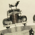 Dana Hart-Stone detail cow on car