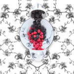 orchid pattern plates in black with raspberries jp terlizzi