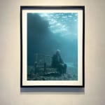 Nick Brandt underwater photograph buy framed prints here