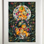 buy JP Terlizzi Photography framed prints Myrtle and Mary Paradise Lost with Orange Key Lime