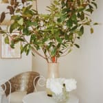 Accessories, Venini Zanfirico Flared Vase