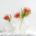 Accessories, Venini Zanfirico Flared Vase
