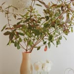 Accessories, Venini Zanfirico Flared Vase