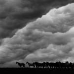 ARTUR BABOEV, Golden, 92x72cm, 2010