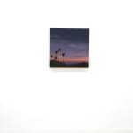 painting of a los angeles landscape with palm trees and a sunset