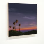 painting of a los angeles landscape with palm trees and a sunset