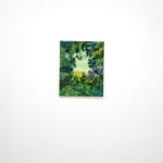 painting of a forest from the perspective of the ground looking up
