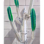 painting of cactus that has been painted white