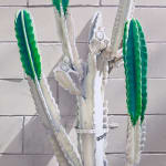 painting of cactus that has been painted white