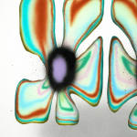abstract flower painting in a frame