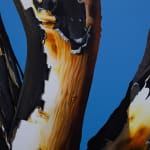 painting of a burnt orange tree