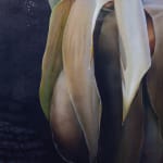 painting of a burnt ageve plant