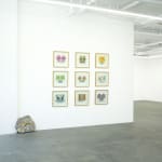 painting in a frame of 2 flowers as eyes for a facea