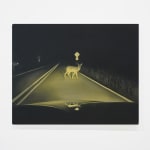 painting of a deer in car headlights
