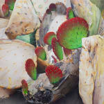 painting of a half-burnt cactus