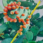 painting of a cactus