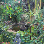 plein air painting of an overgrown backyard
