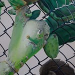 painting of a cactus growing through a fence