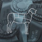 painting of an outline of a dog superimposed on winning dog show ribbons in blue