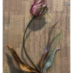 Gordon Cheung, Tulip Paradox 5, 2025