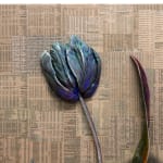 Gordon Cheung, Tulip Paradox 5, 2025