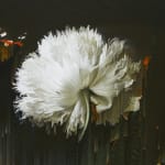 Gordon Cheung, New Order Vase of Flowers (after Margareta Haverman, c. 1716), 2022