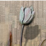 Gordon Cheung, Tulip Paradox 5, 2025