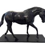John Fitzgerald, The Stallion