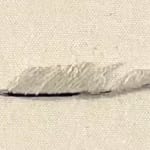 Domino Whisker, White Feather (from dad)
