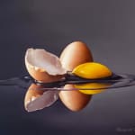 David French Le-Roy, Egg Reflection