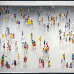 Stephen Forbes, Observation