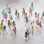 Stephen Forbes, Observation
