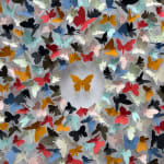 Rebecca J Coles, Black & White 02