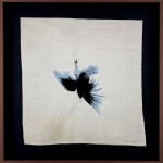 Domino Whisker, White Feather (from dad)