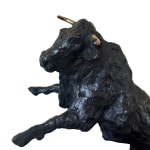 Giacinto Bosco, Cavalcando la luna