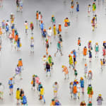 Stephen Forbes, Observation