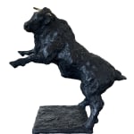 Giacinto Bosco, Cavalcando la luna