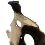 Ian Pollock, Flying Into the Mind of Wonder